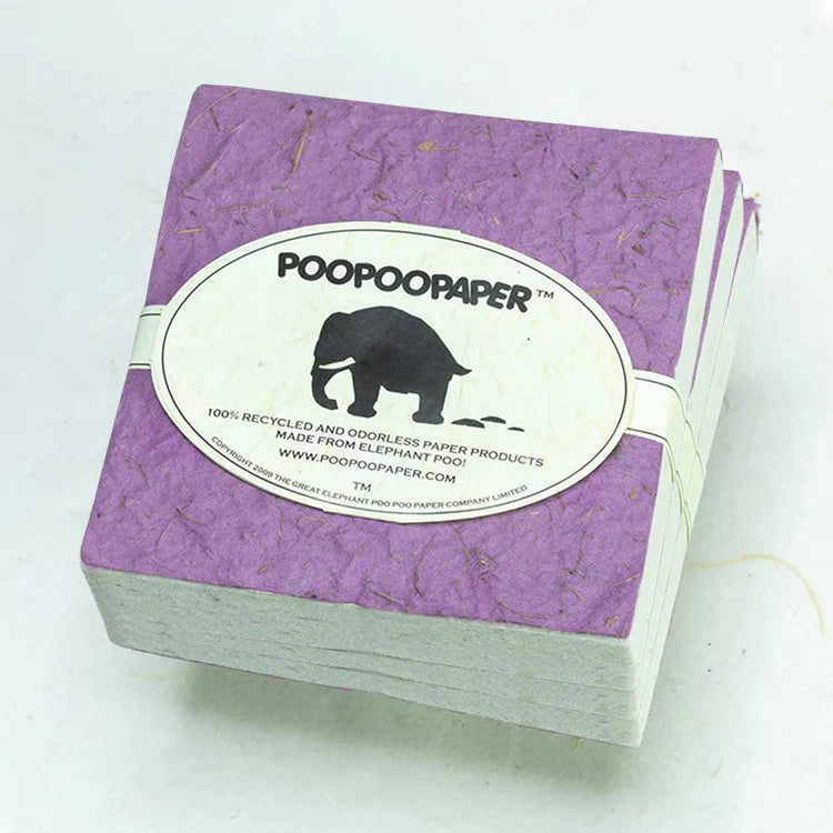 Elephant POOPOOPAPER - Scratch Pad - Assorted - (Set of 3)