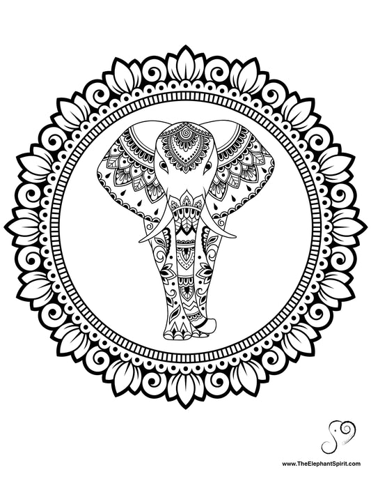 FREE Coloring Page 02-03