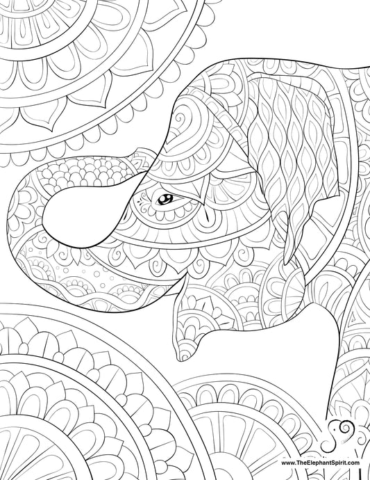 FREE Coloring Page 08-04